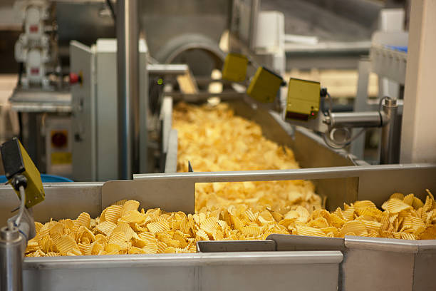 Potato Chips Manufacturing