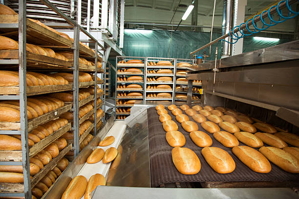 Bread Manufacturing Business